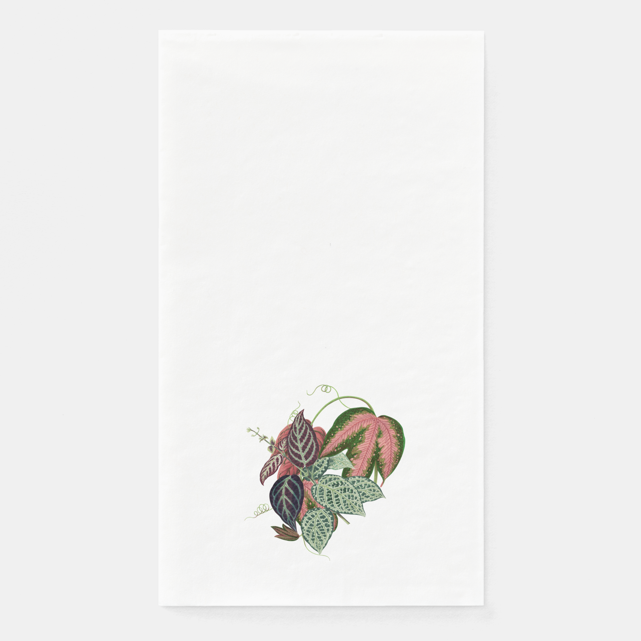 Les Fleurs Aubergine guest towel
