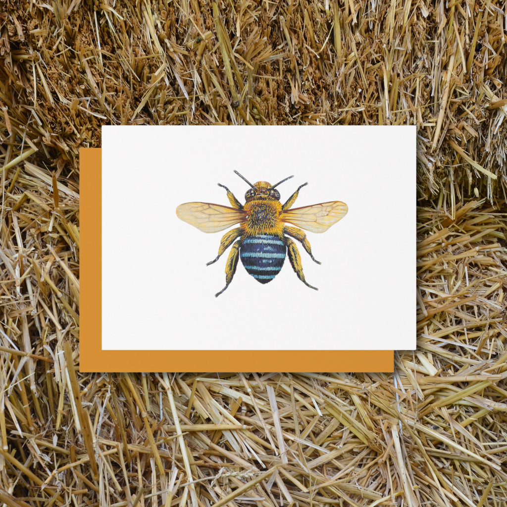Vintage Voyagers France Single Bee Place Card
