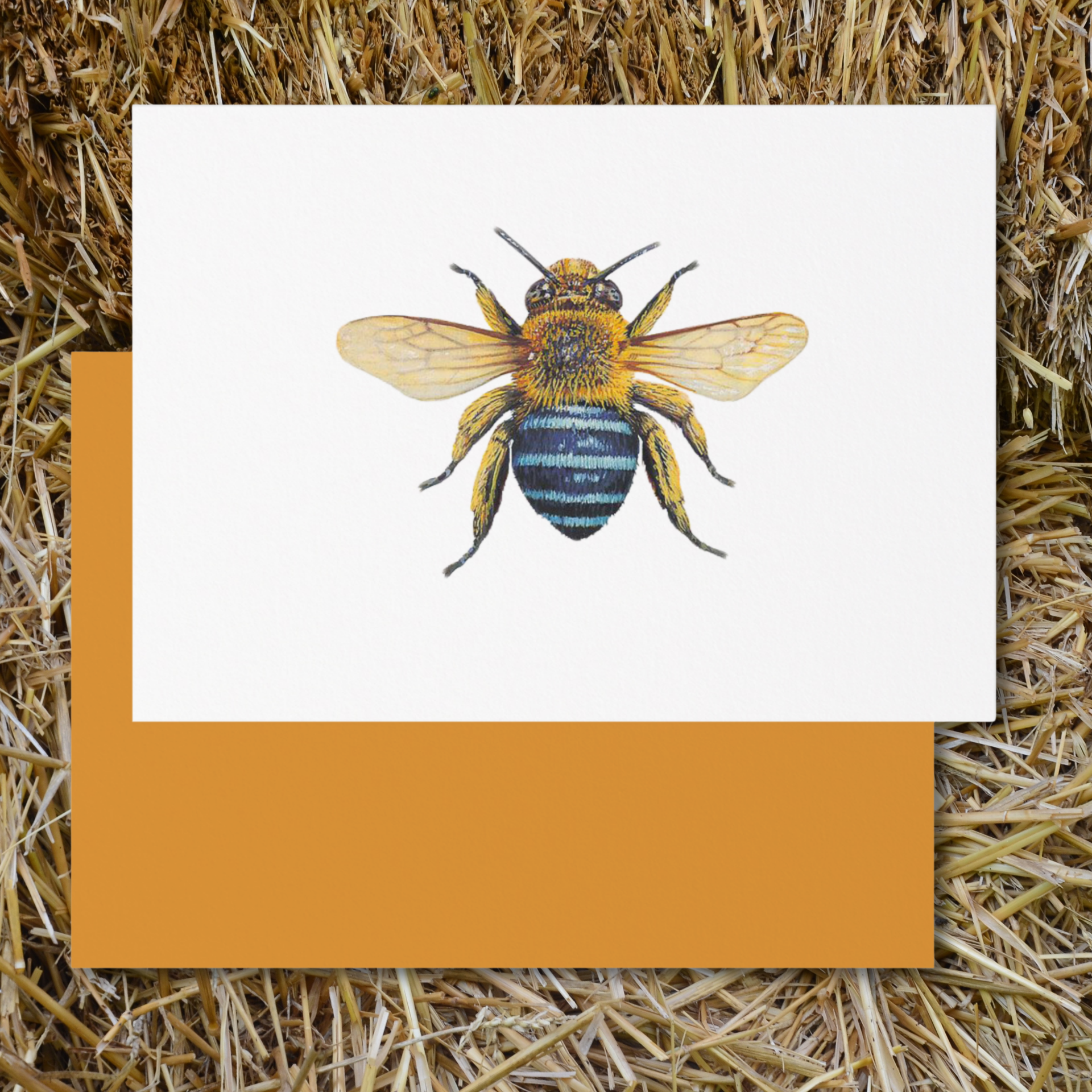 Vintage Voyagers France Single Bee Place Card