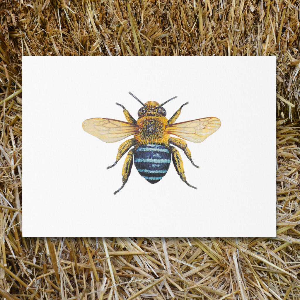 Vintage Voyagers France Single Bee Place Card