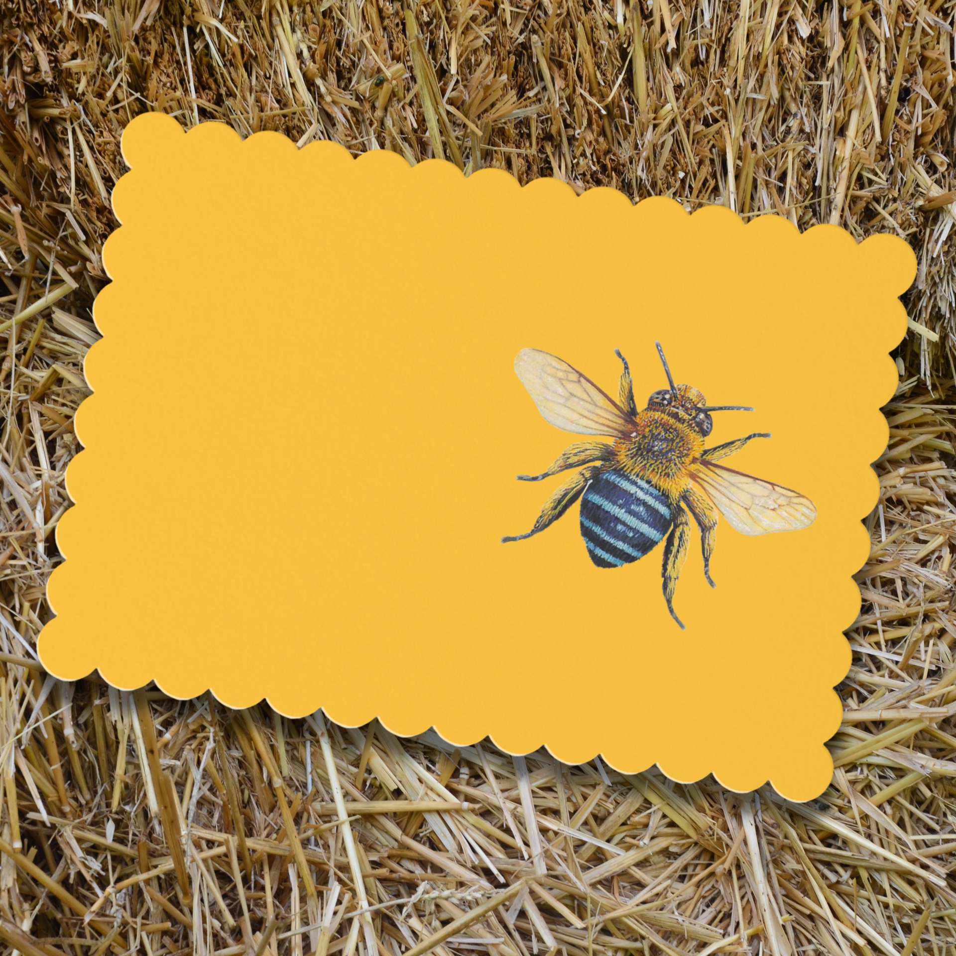 Vintage Voyagers France Bee Bomb Place Cards