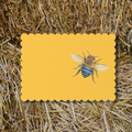 Vintage Voyagers France Bee Bomb Place Cards