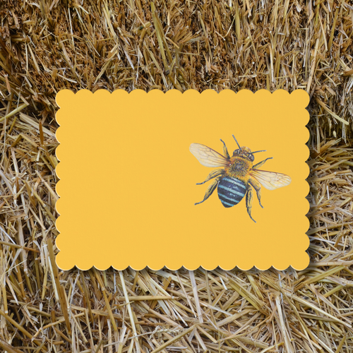 Vintage Voyagers France Bee Bomb Place Cards
