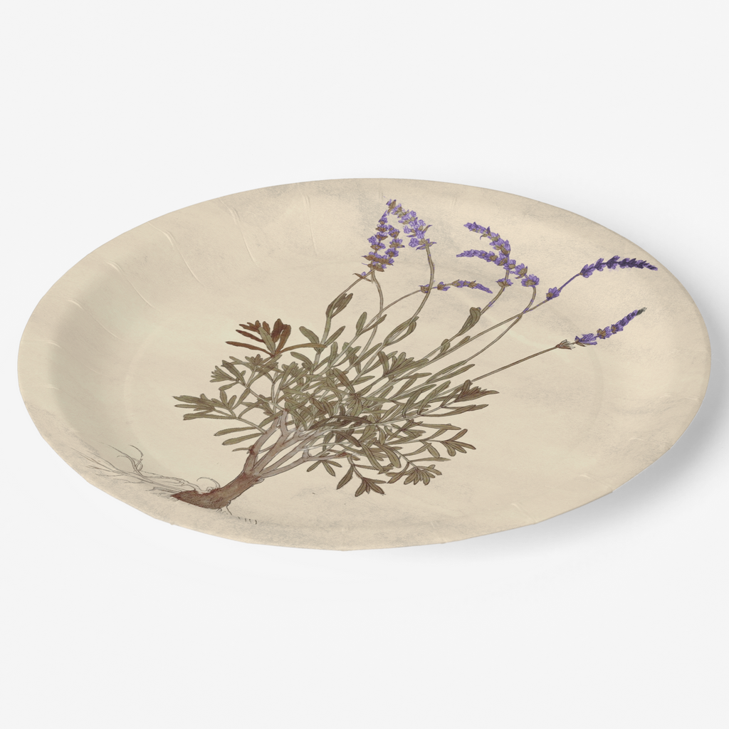 Vintage Voyagers France Lavender Party Plate