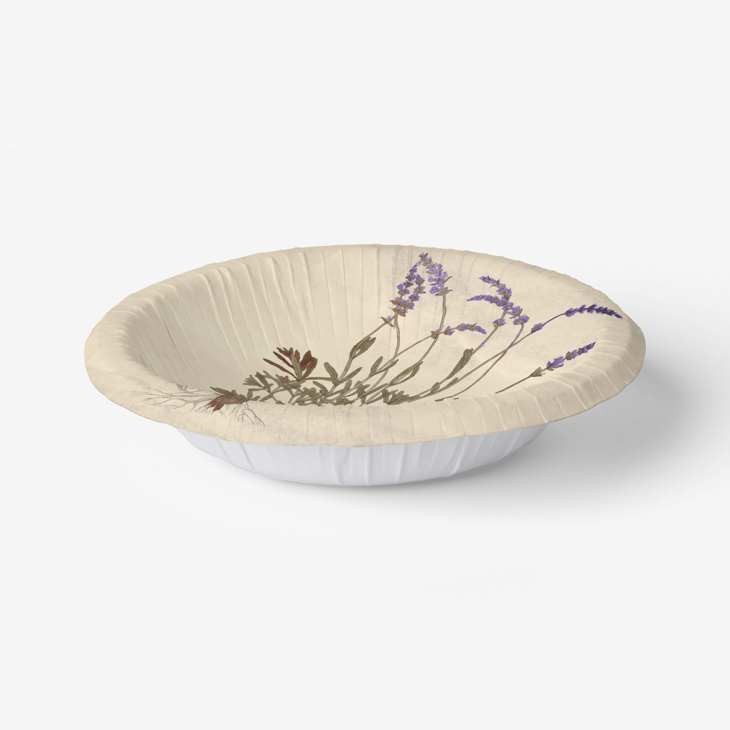 Vintage Voyagers France Lavender Party Plate