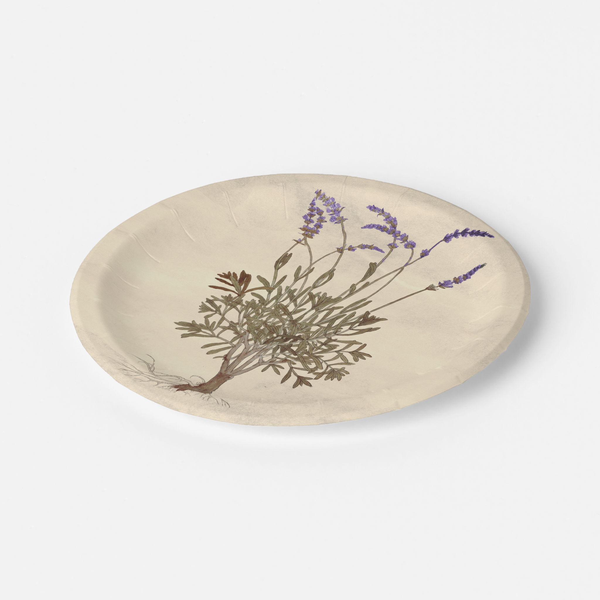 Vintage Voyagers France Lavender Party Plate