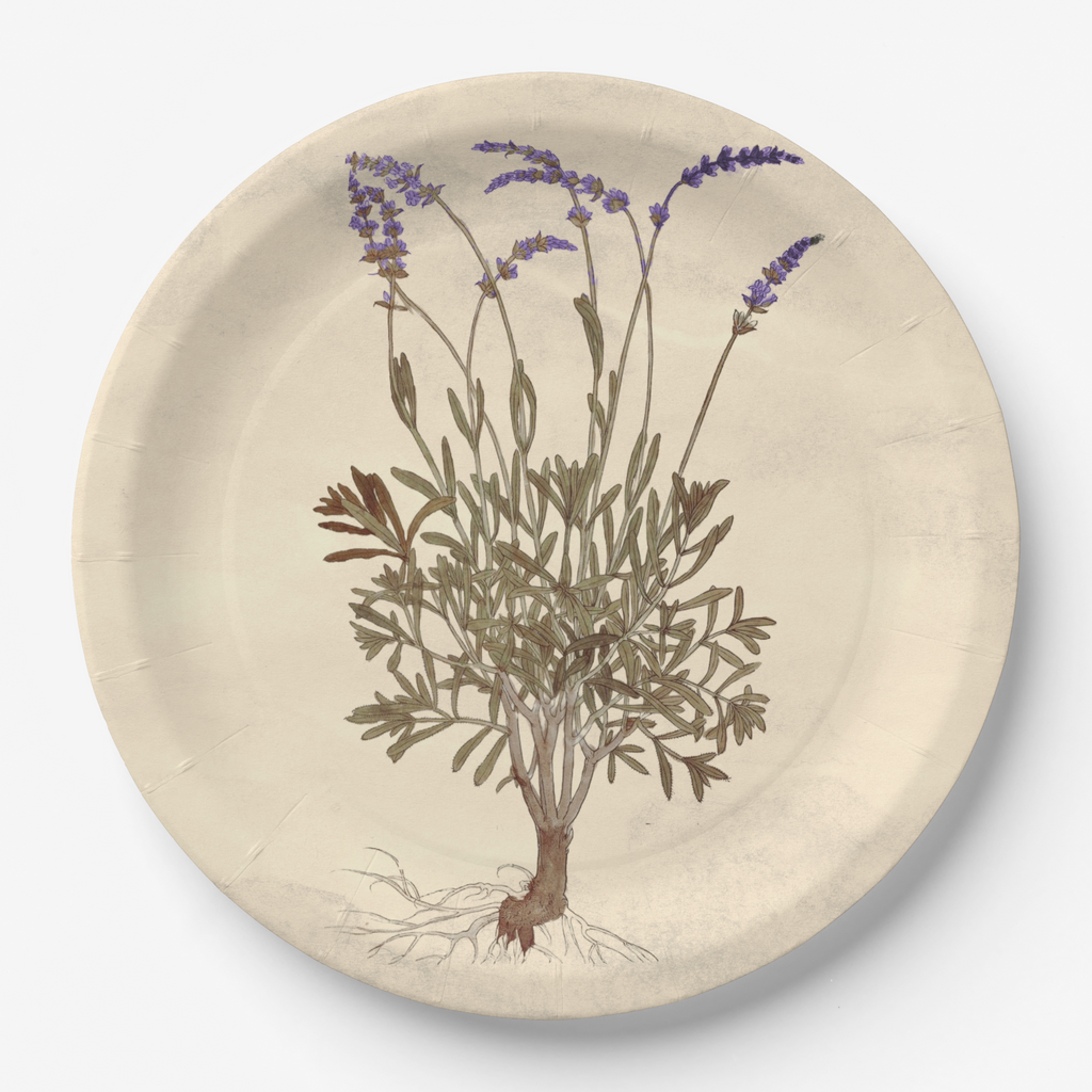 Vintage Voyagers France Lavender Party Plate
