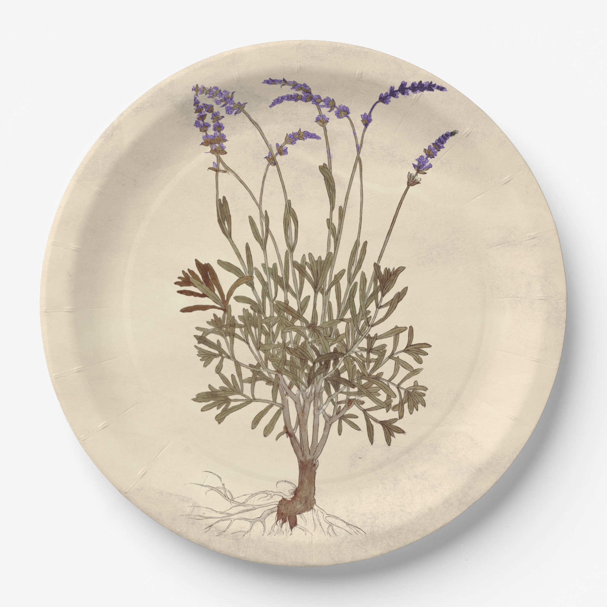 Vintage Voyagers France Lavender Party Plate