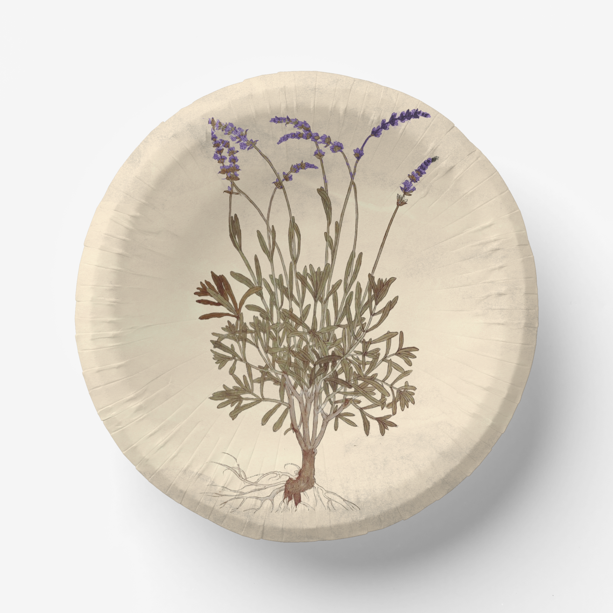 Vintage Voyagers France Lavender Party Plate