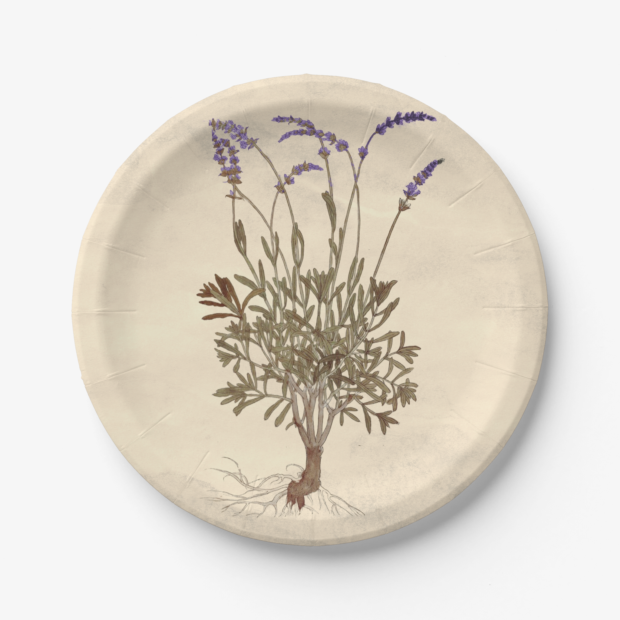 Vintage Voyagers France Lavender Party Plate
