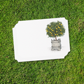 Vintage Voyagers France Lemon Topiary Place Card