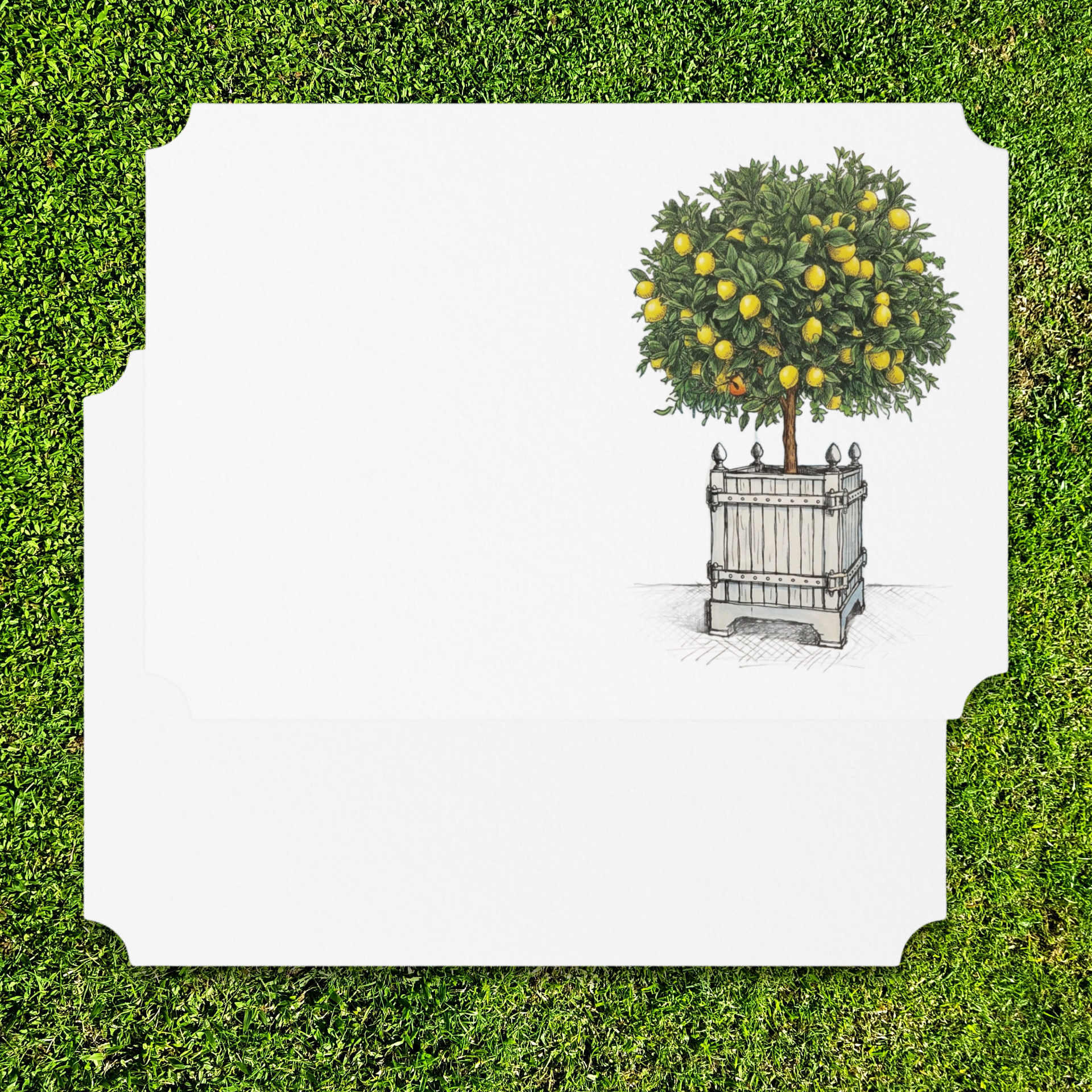Vintage Voyagers France Lemon Topiary Place Card