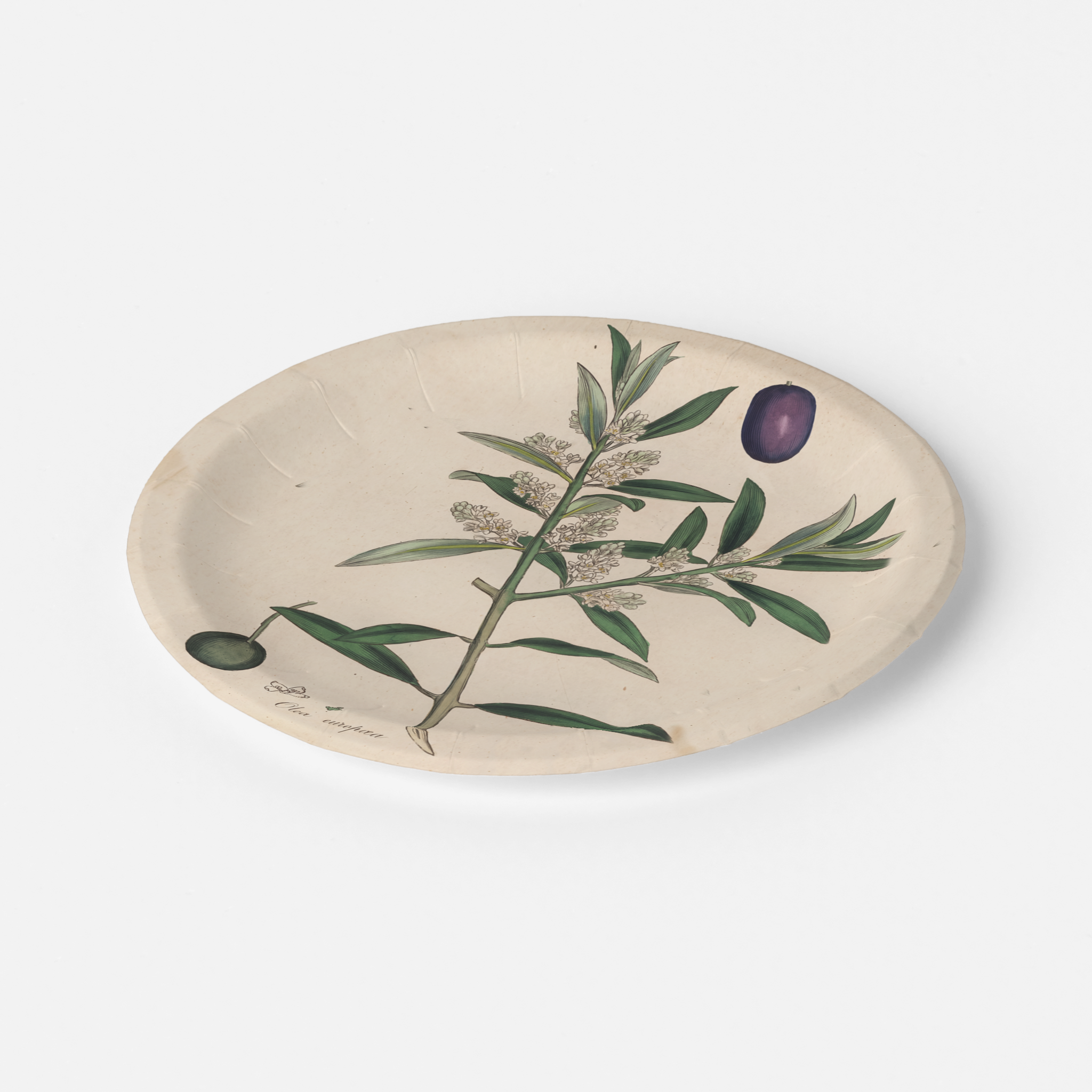 La Table Provinciale European Olive paper party plate