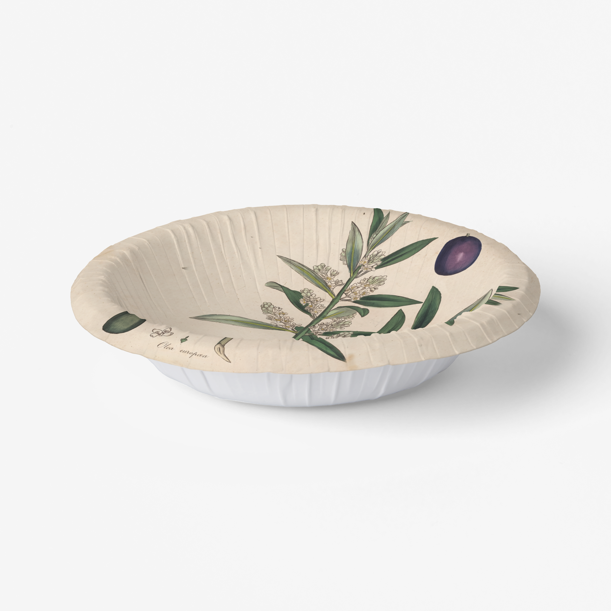 La Table Provinciale European Olive paper party plate