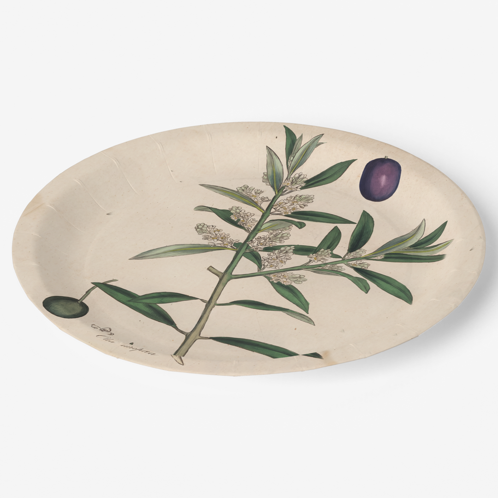 La Table Provinciale European Olive paper party plate