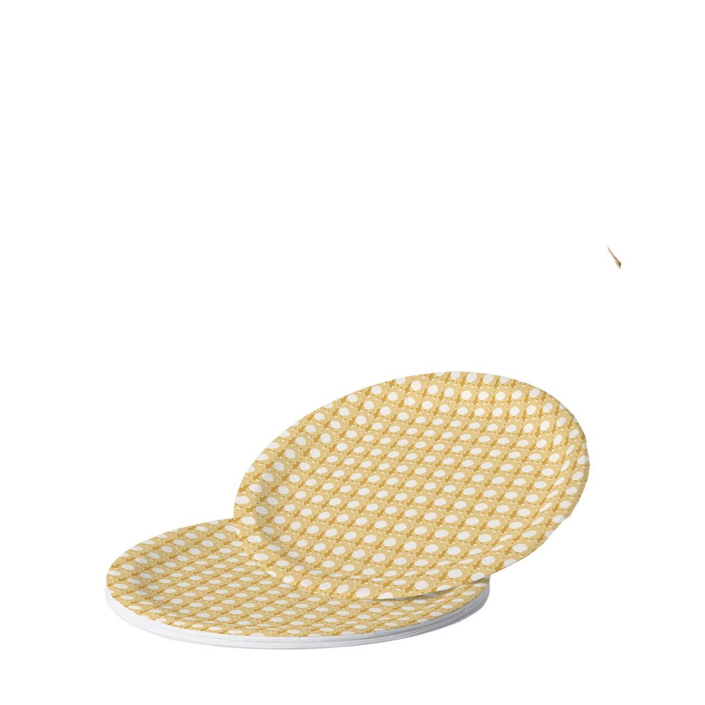 Vintage Voyagers France Caned Paper Plates