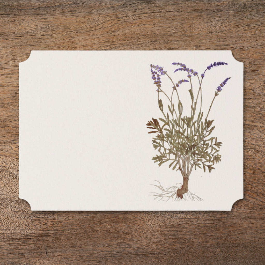 La Table Provinciale Lavender botanical place card, front