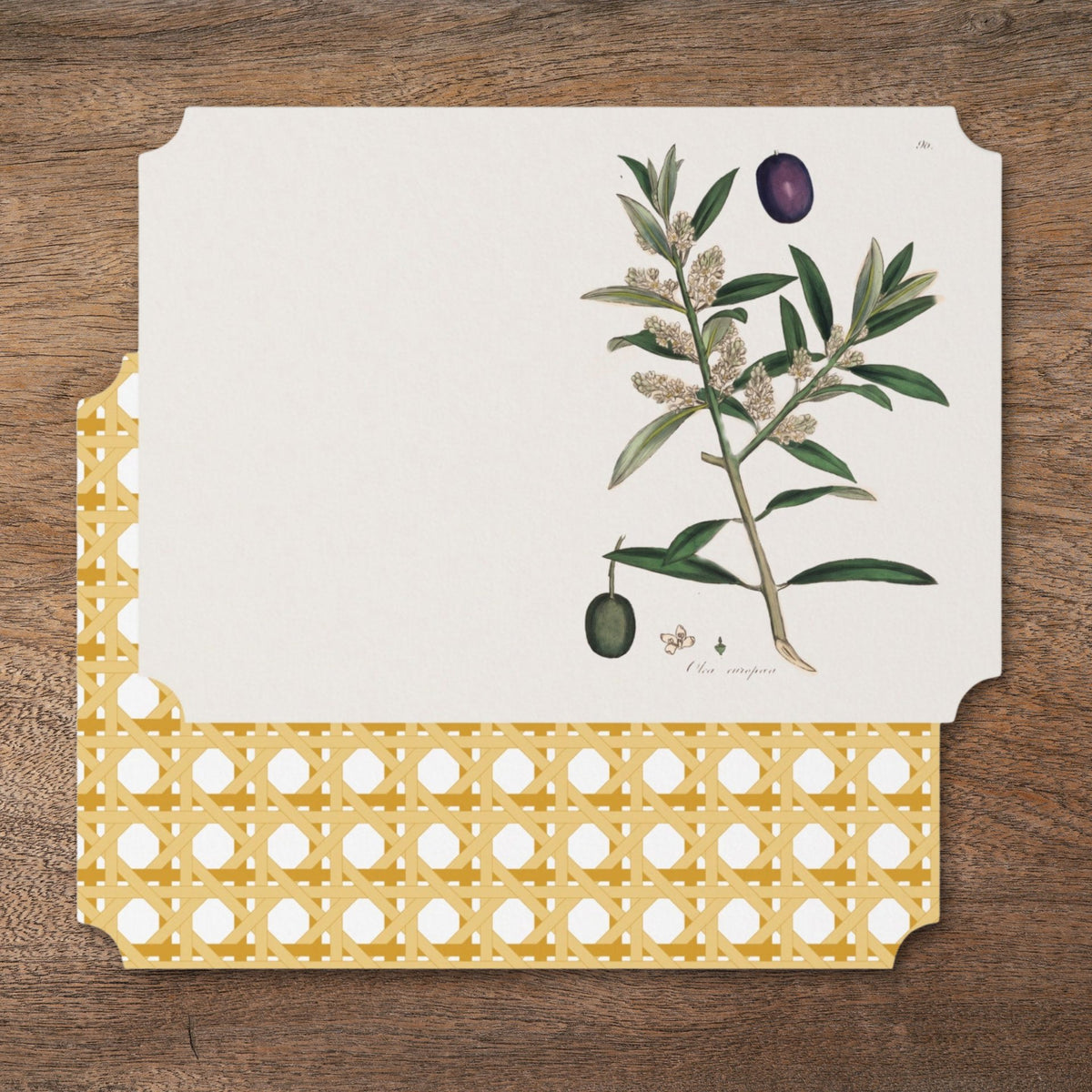 La Table Provinciale Olive place card, front and back