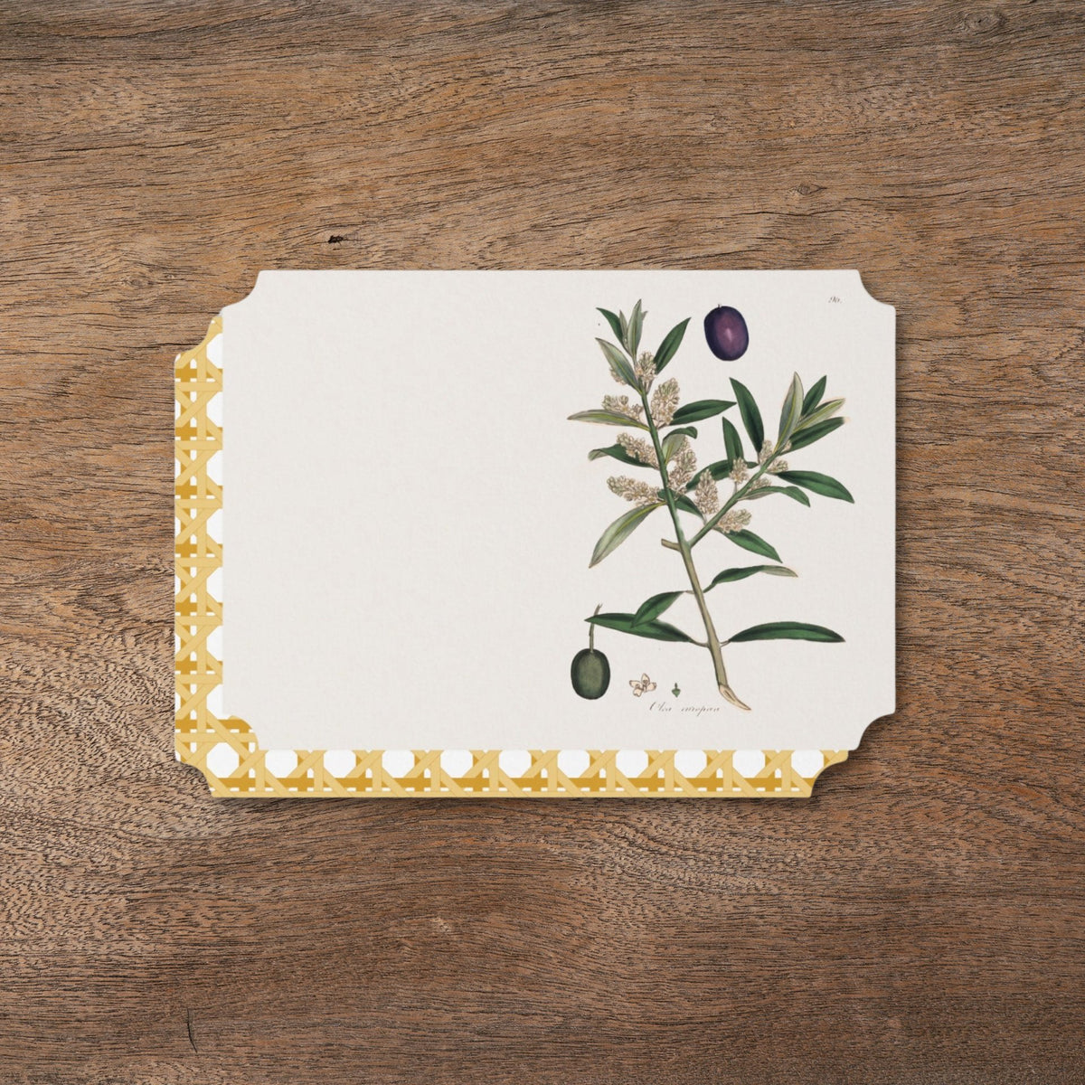 La Table Provinciale Olive place card at a table setting